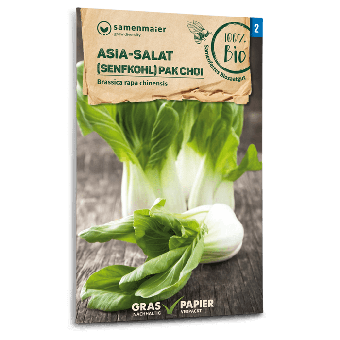 Samen Maier BIO Asia-Salat Senfkohl Pak Choi