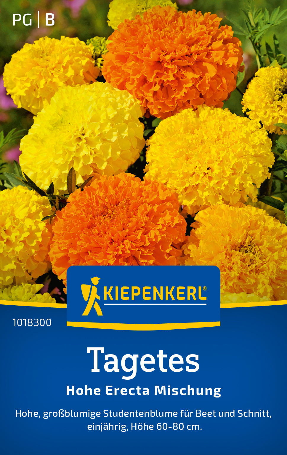 Kiepenkerl Studentenblumen Hohe Erecta Mischung