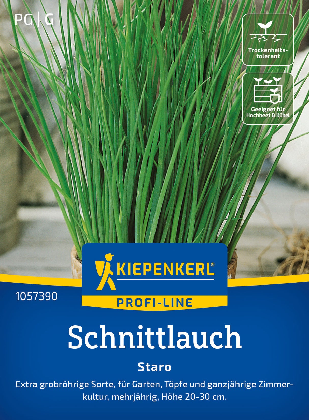 Kiepenkerl Schnittlauch Staro