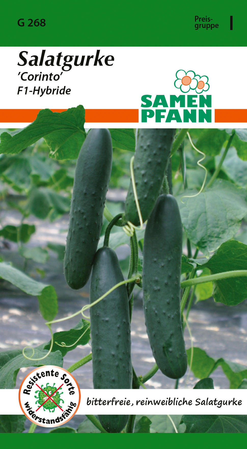 Samen Pfann Salatgurke Corinto