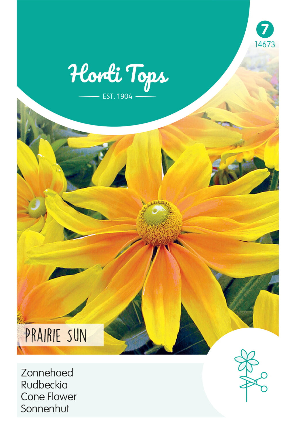 Horti Tops Sonnenhut Hirta Prairie Sun