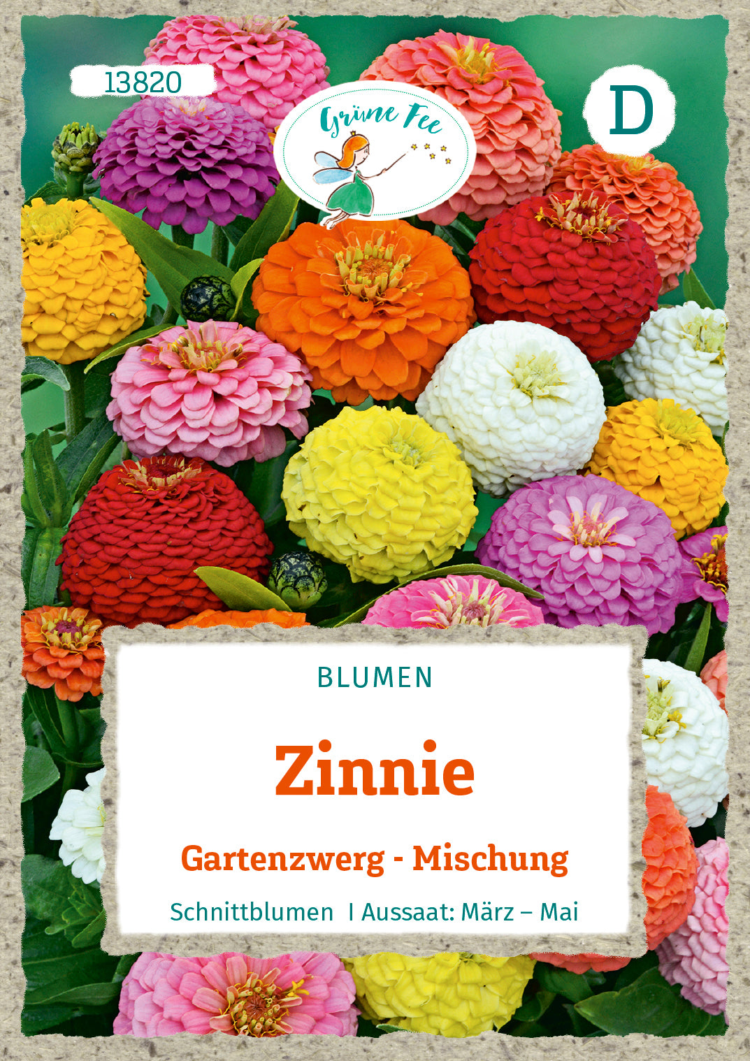 Grüne Fee Zinnien Liliput Mischung