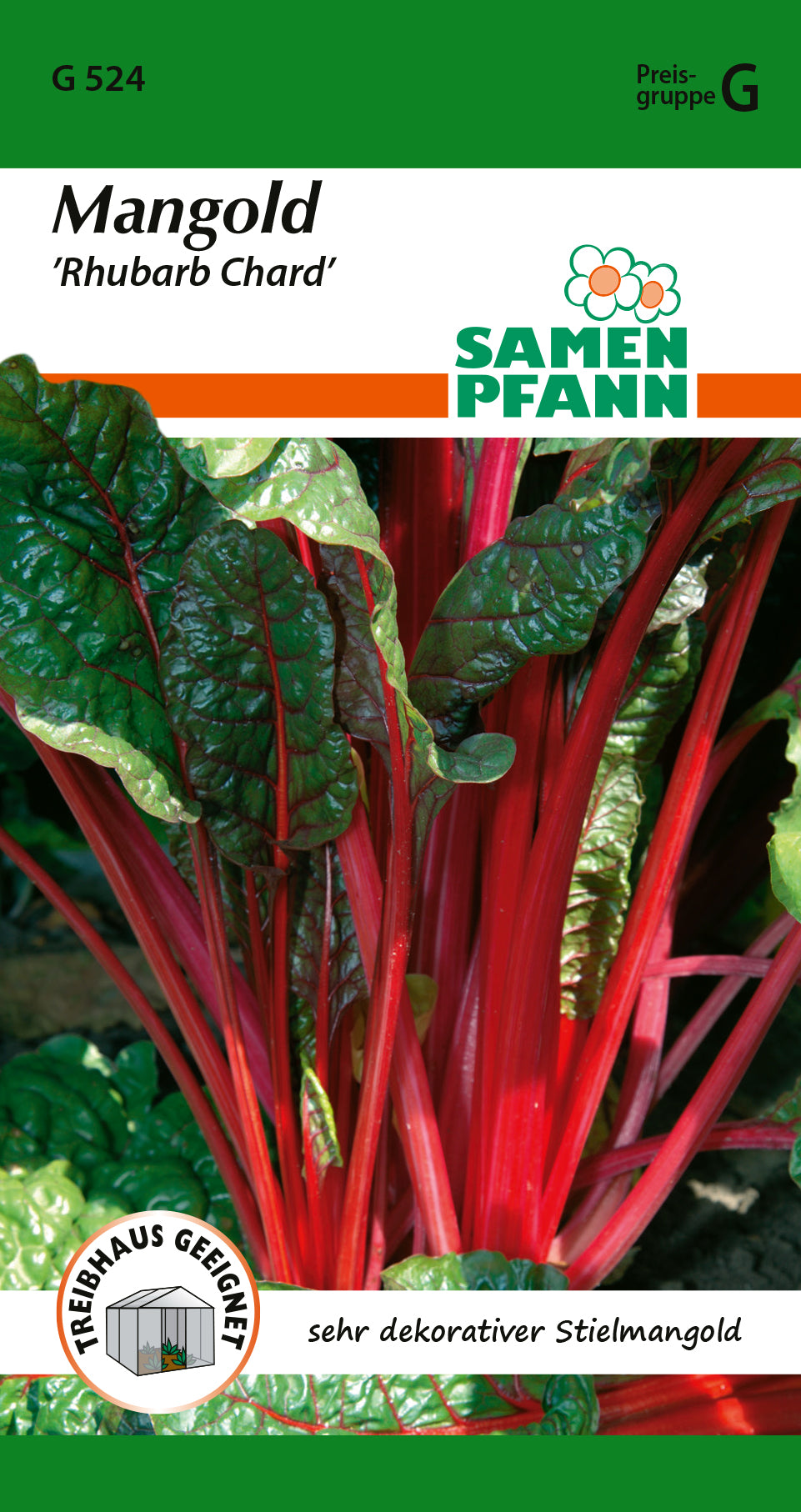 Samen Pfann Rhubarb Chard Mangold