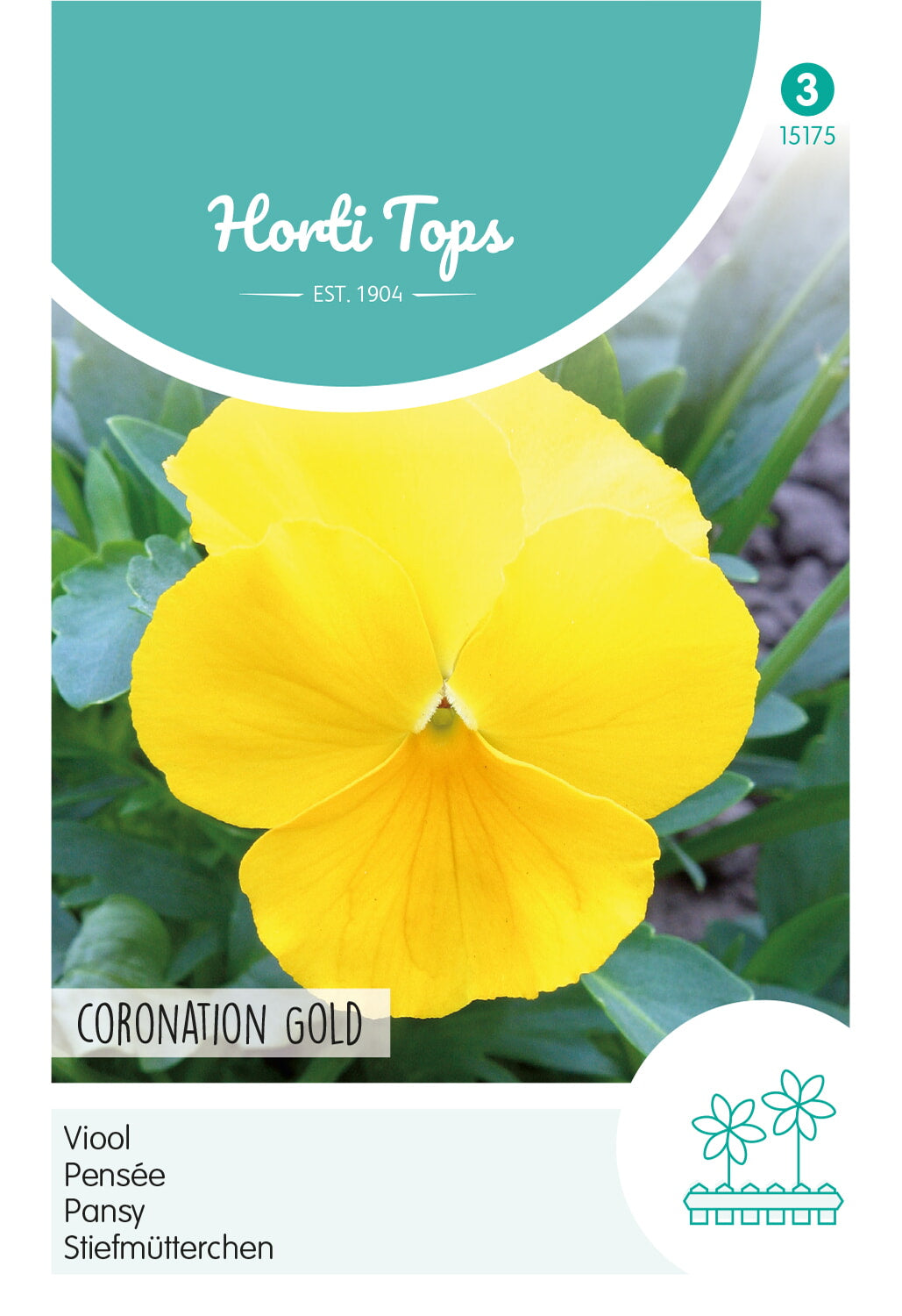 Horti Tops Garten-Stiefmütterchen Schweizer Riesen Coronation Gold