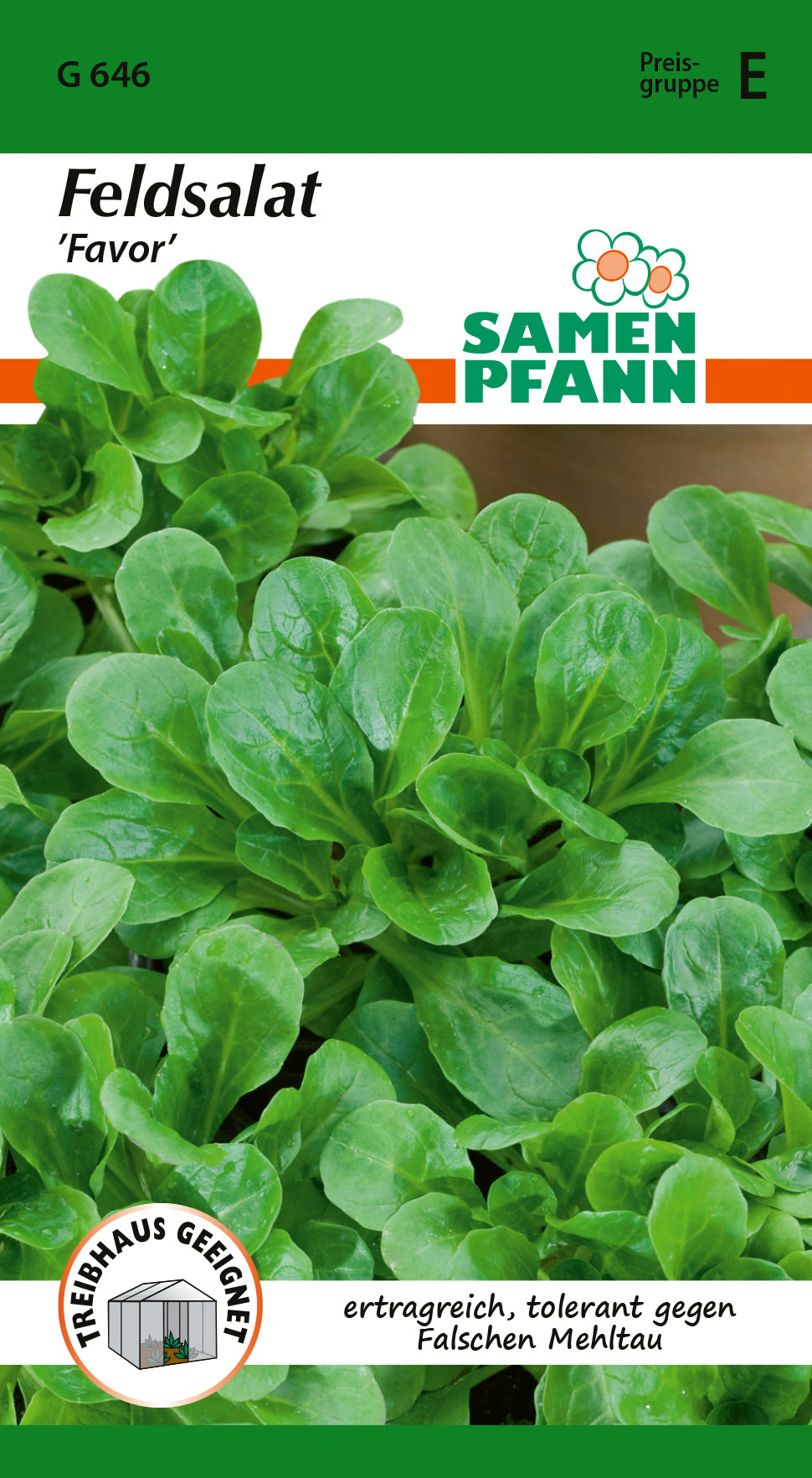 Samen Pfann Feldsalat Favor