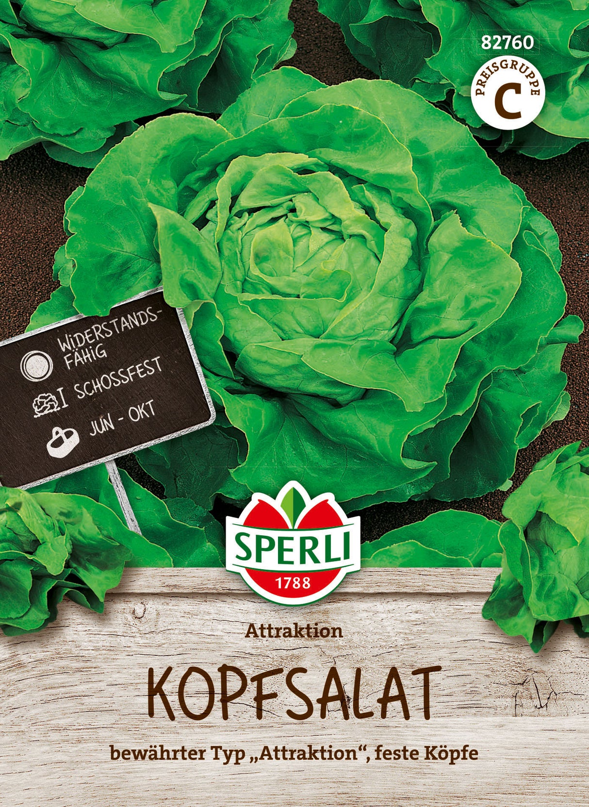 SPERLI Kopfsalat Attraktion