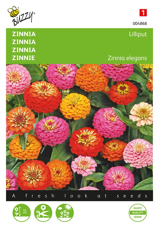 Buzzy Seeds Zinnien Lilliput Mischung