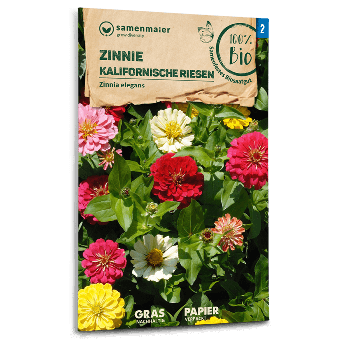 Samen Maier BIO Zinnie Kalifornische Riesen Mischung