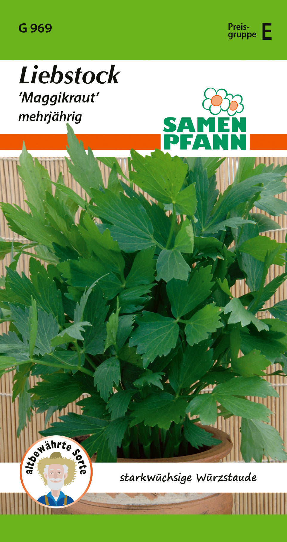 Samen Pfann Liebstock Maggikraut Mehrjährig