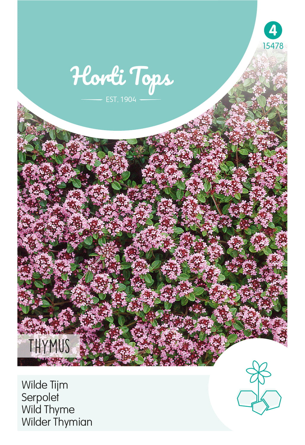 Horti Tops Kriechthymian Serpyllum