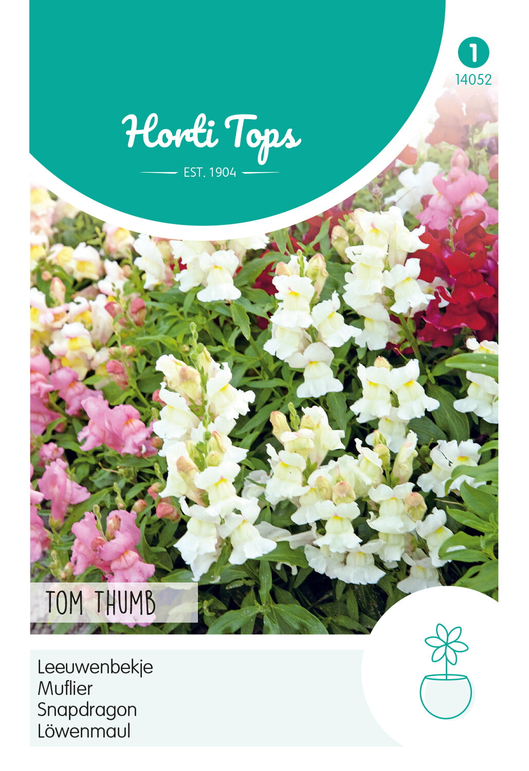 Horti Tops Löwenmäulchen Tom Thumb Mischung