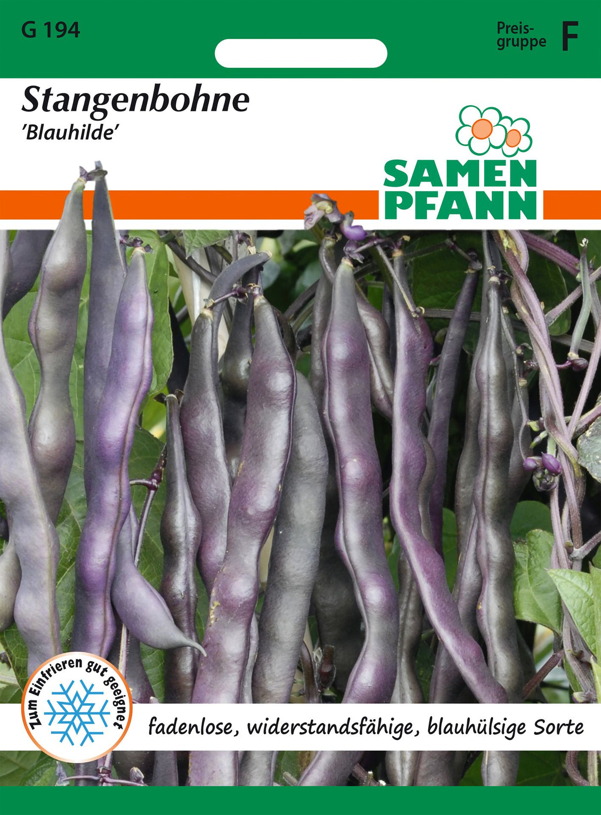 Samen Pfann Stangenbohne Blauhilde