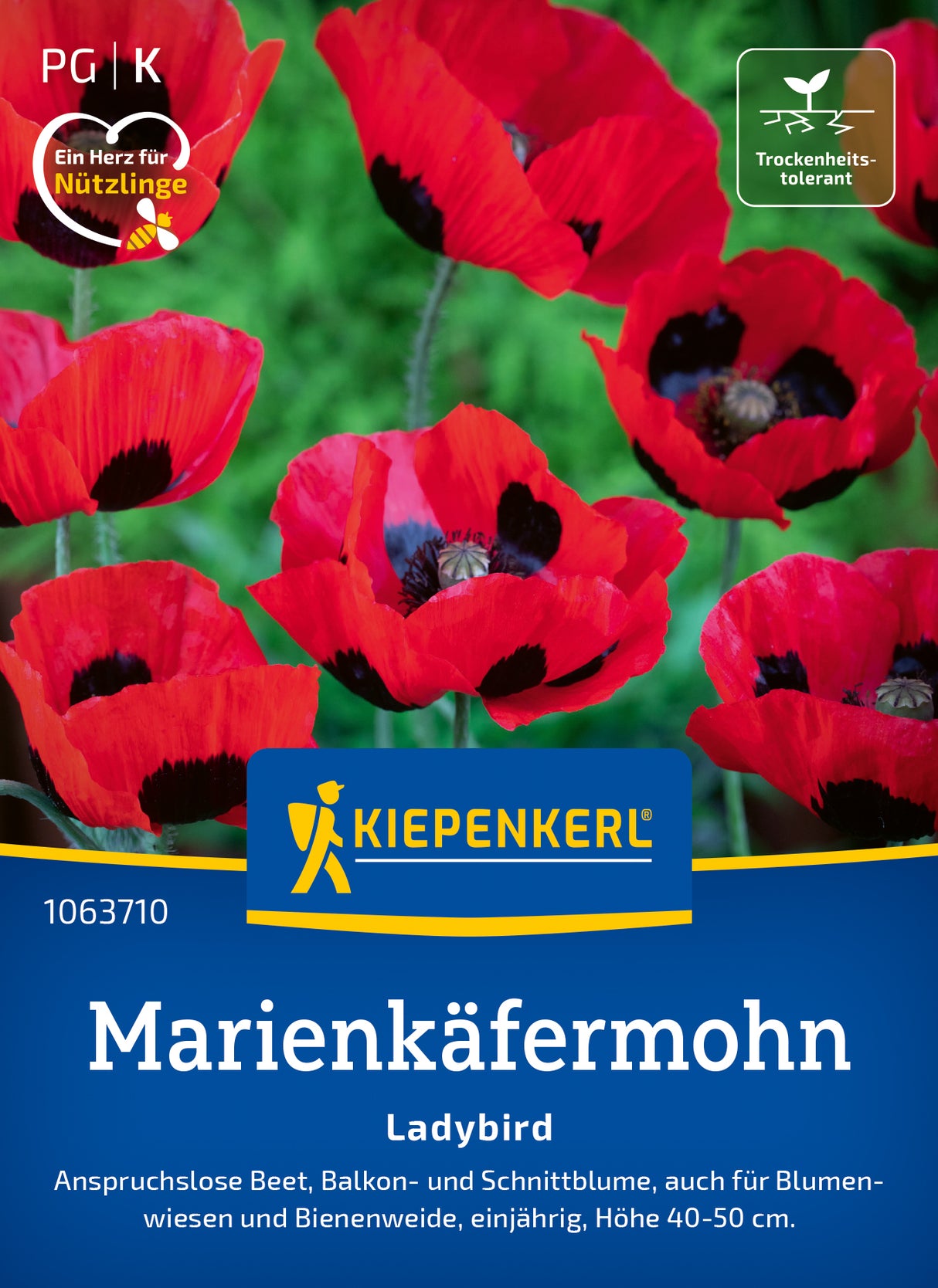 Kiepenkerl Mohn Ladybird