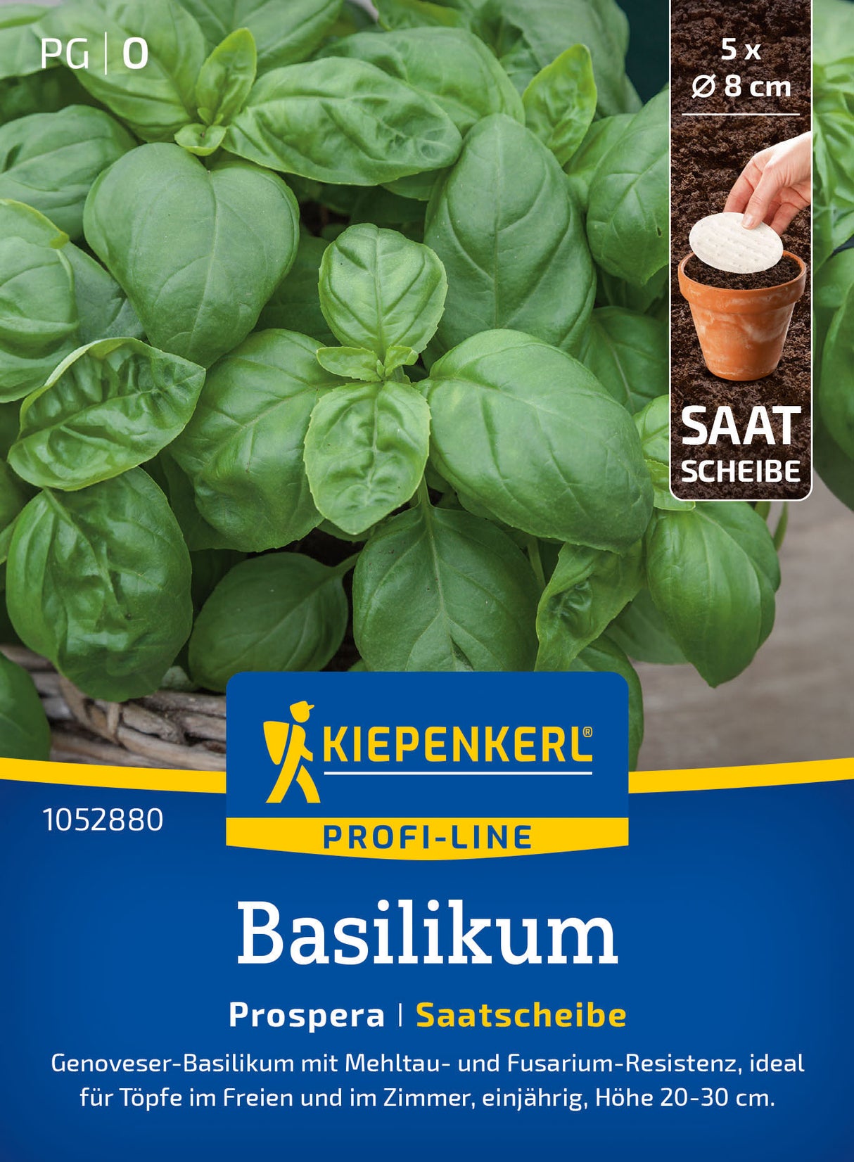Kiepenkerl Basilikum Prospera