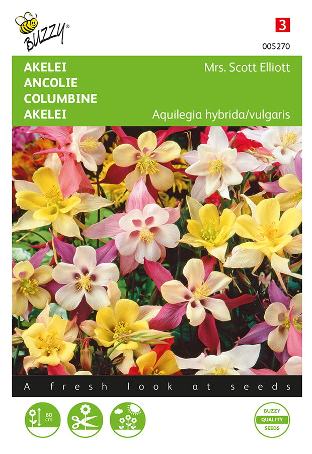 Buzzy Seeds Akelei Mrs. Scott Elliott