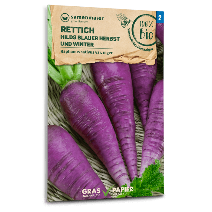 Samen Maier BIO Rettich Hilds Blauer Herbst Winter