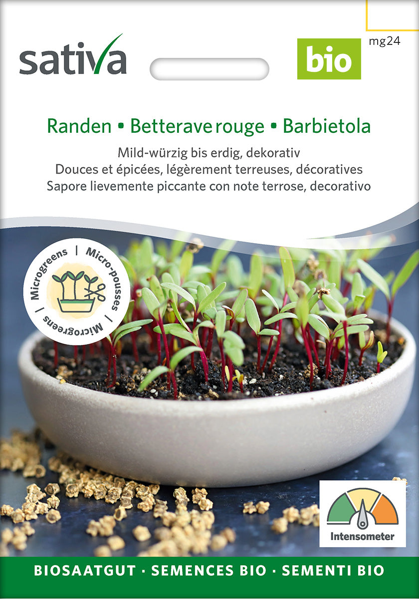 Sativa Keimsprossen Randen