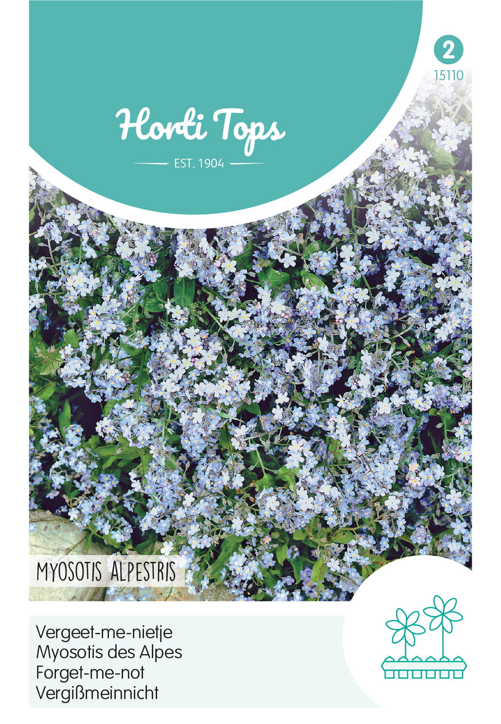 Horti Tops Alpen-Vergissmeinnicht Indigo-Blau