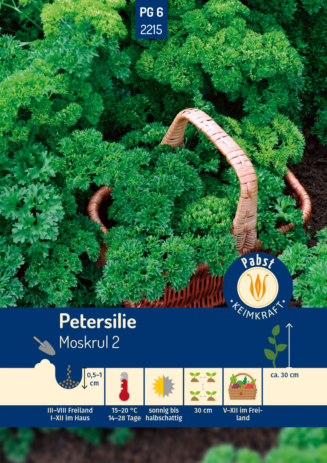 Pabst Keimkraft Petersilien Mooskrause 2
