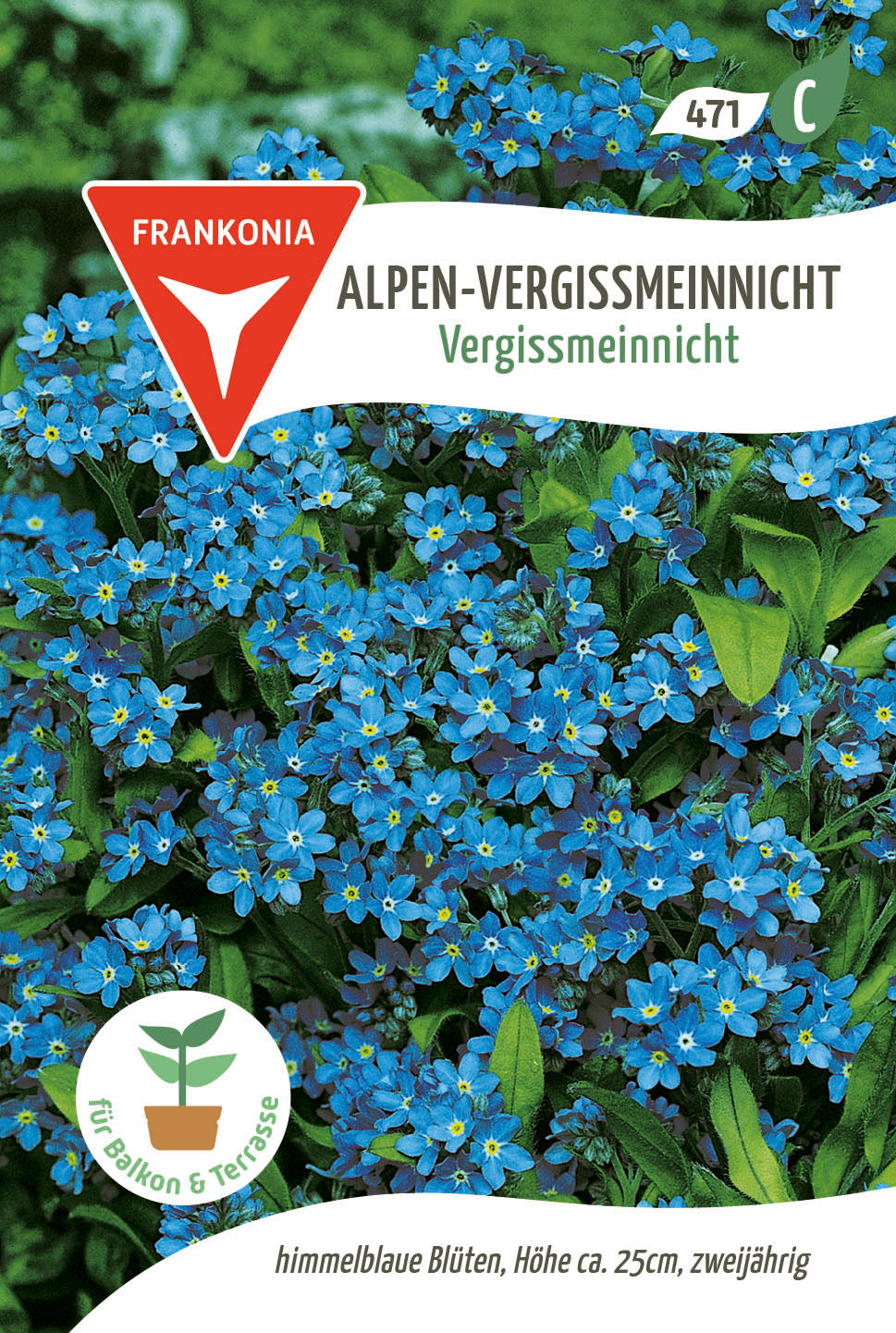 Frankonia Samen Vergissmeinnicht Alpen