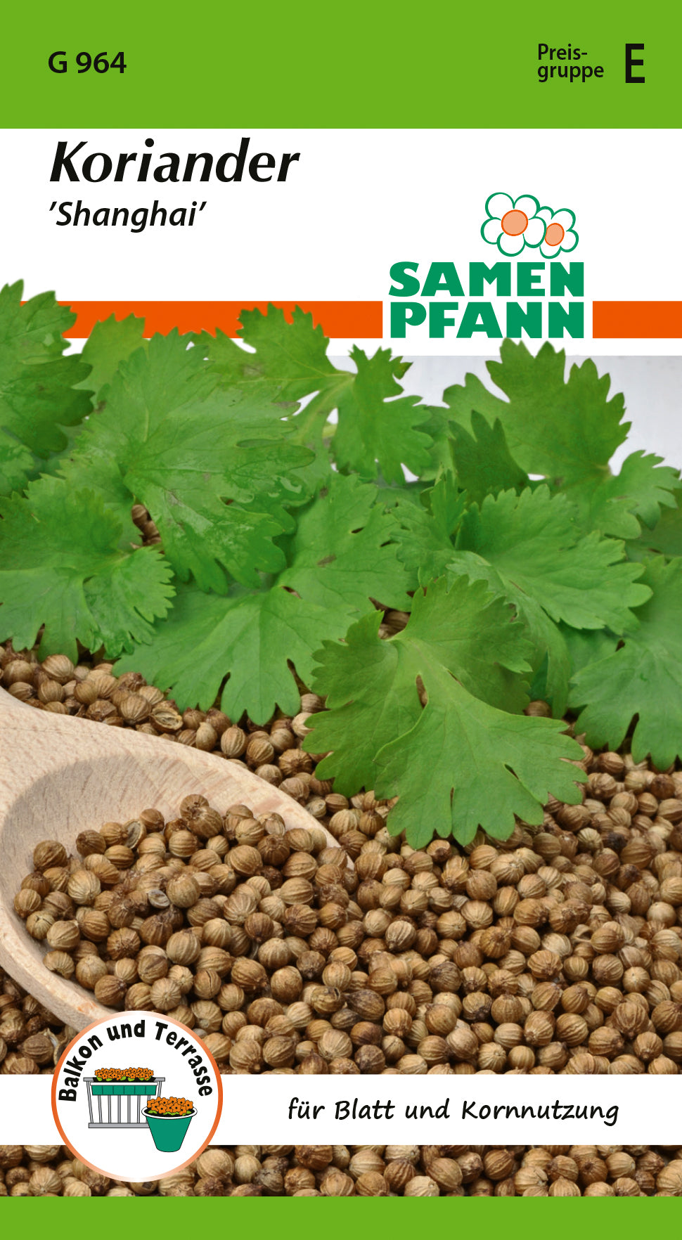 Samen Pfann Koriander Shanghai