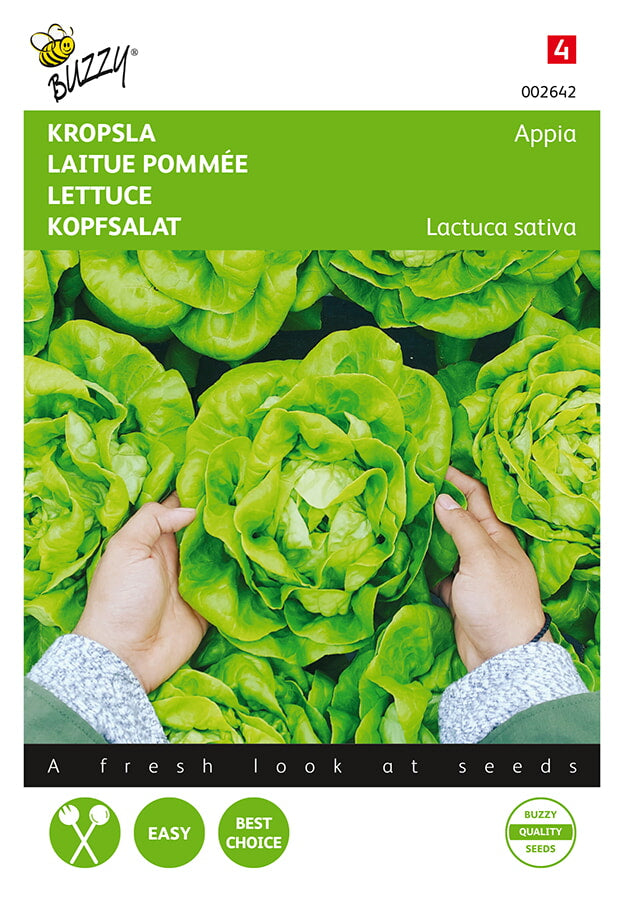 Buzzy Seeds Kopfsalat Appia