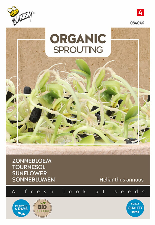 Buzzy Seeds BIO Keimsprossen Sonnenblumen