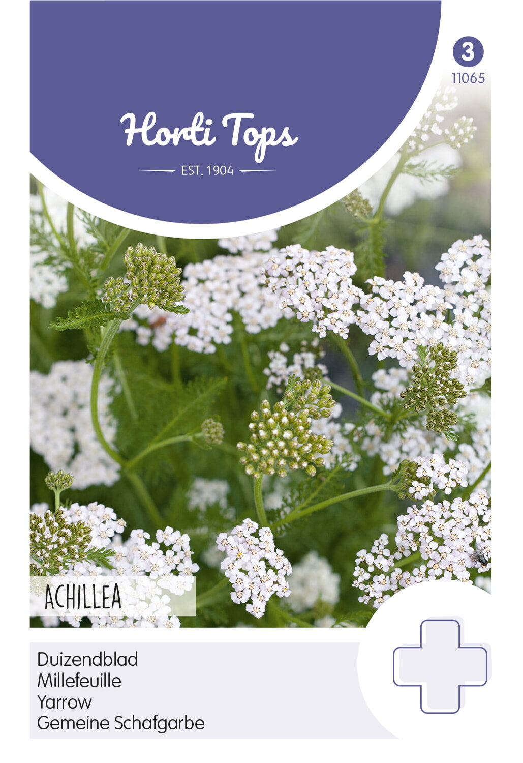 Horti Tops Schafgarbe Gemeine Schafgarbe