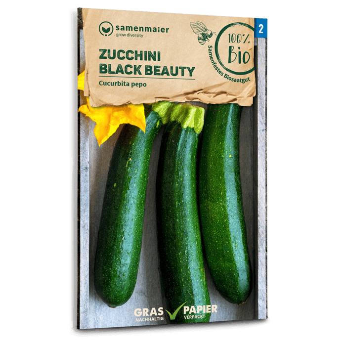 Samen Maier BIO Zucchini Black Beauty