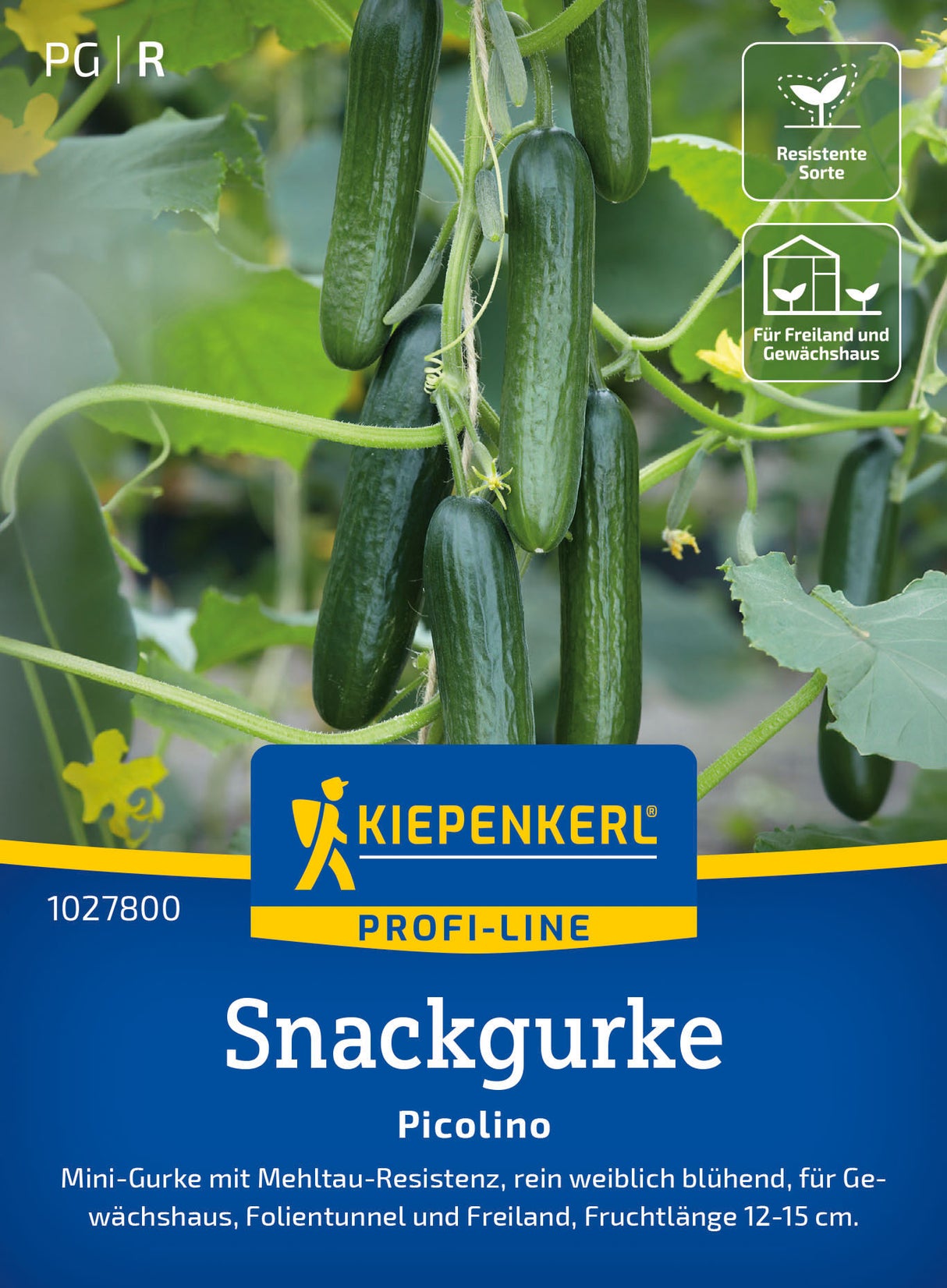 Kiepenkerl Snackgurken Picolino