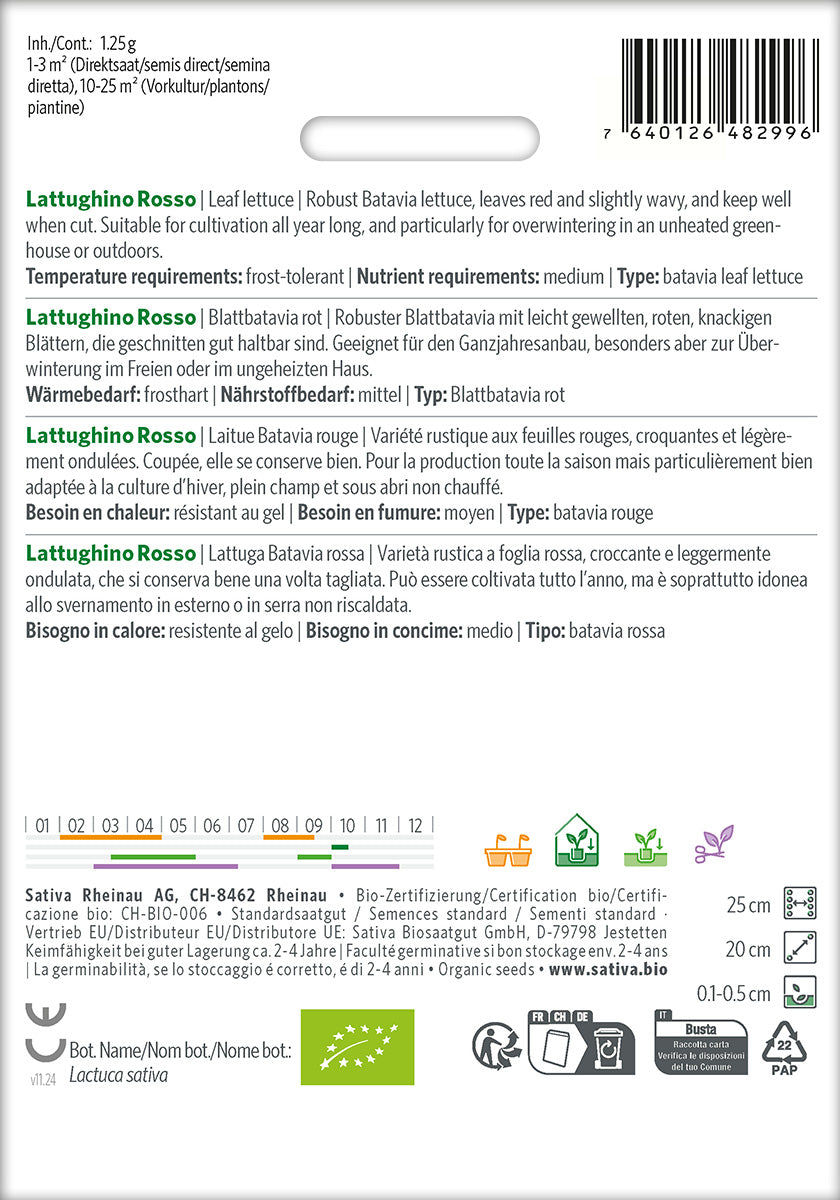 Sativa Blattbatavia rot Lattughino Rosso