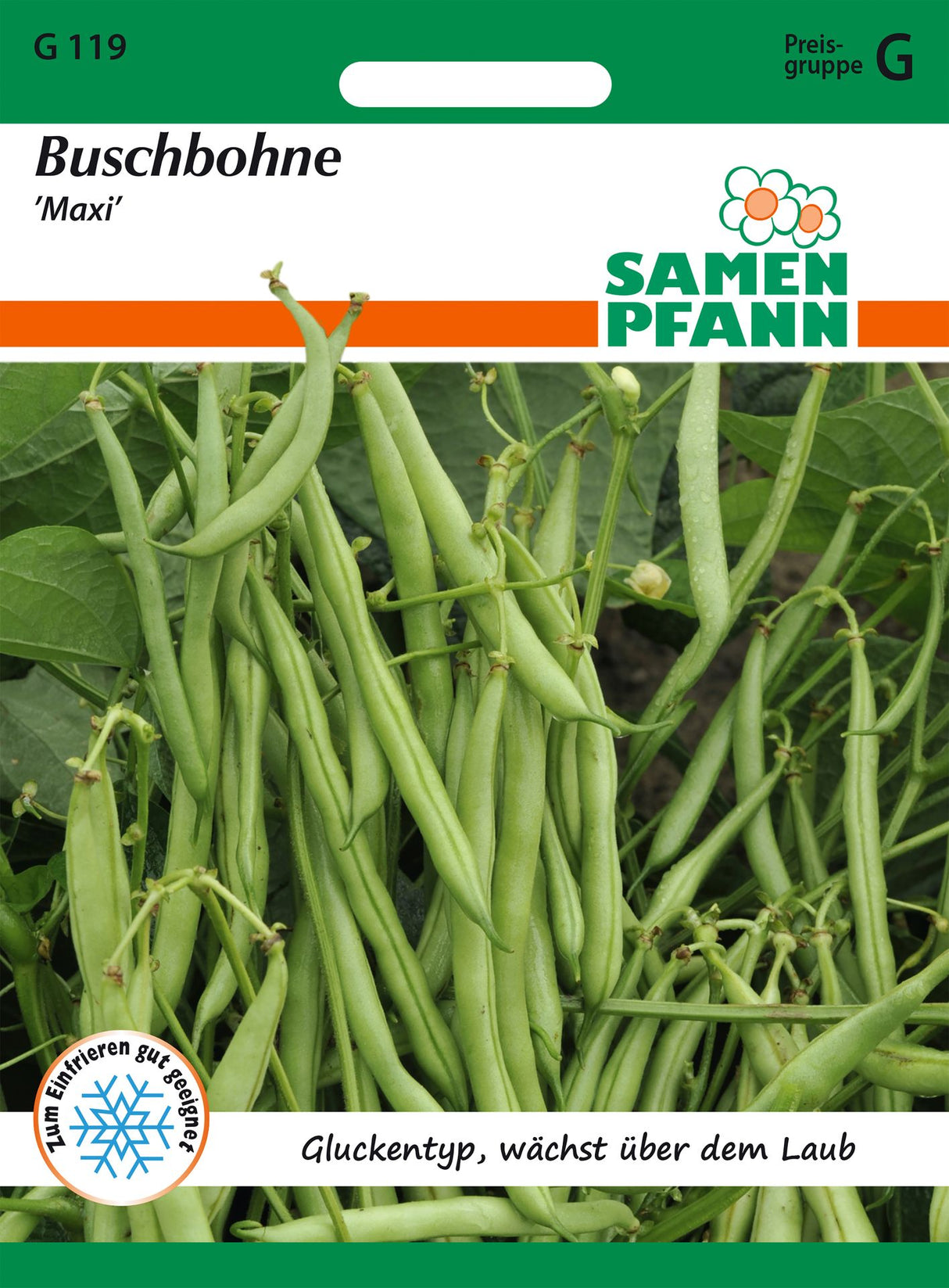 Samen Pfann Buschbohne Maxi