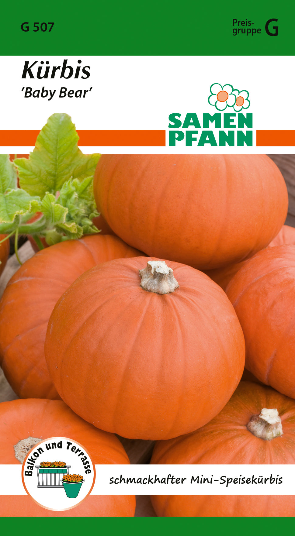 Samen Pfann Kürbis Baby Bear