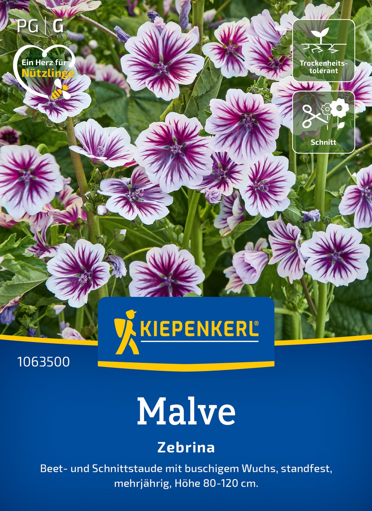 Kiepenkerl Malven Zebrina