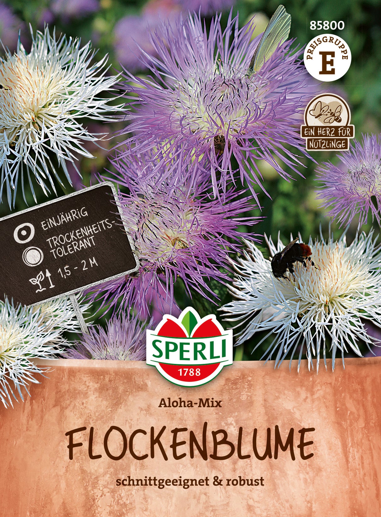 SPERLI Flockennblume Aloha-Mix