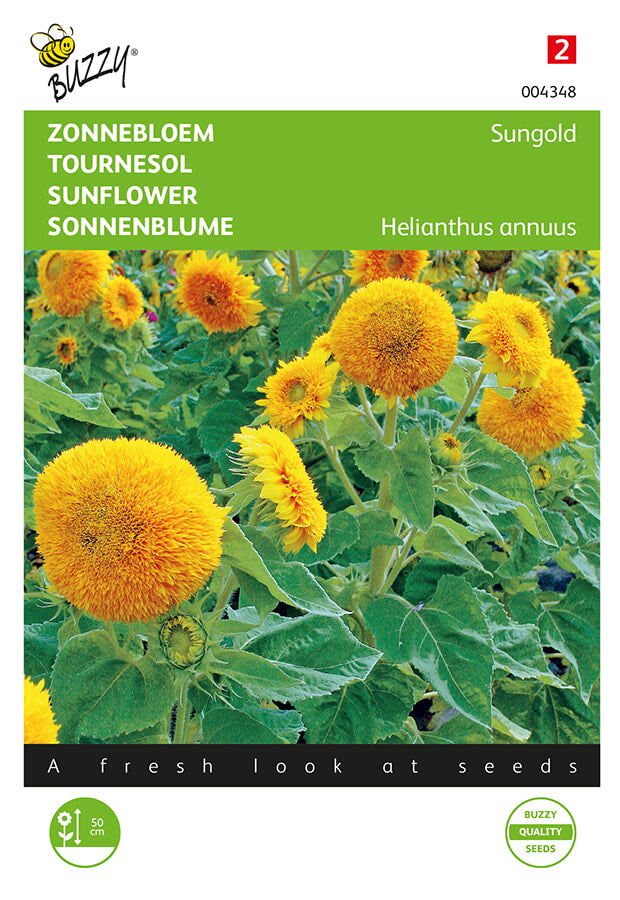 Buzzy Seeds Sonnenblumen Sungold Niedrige