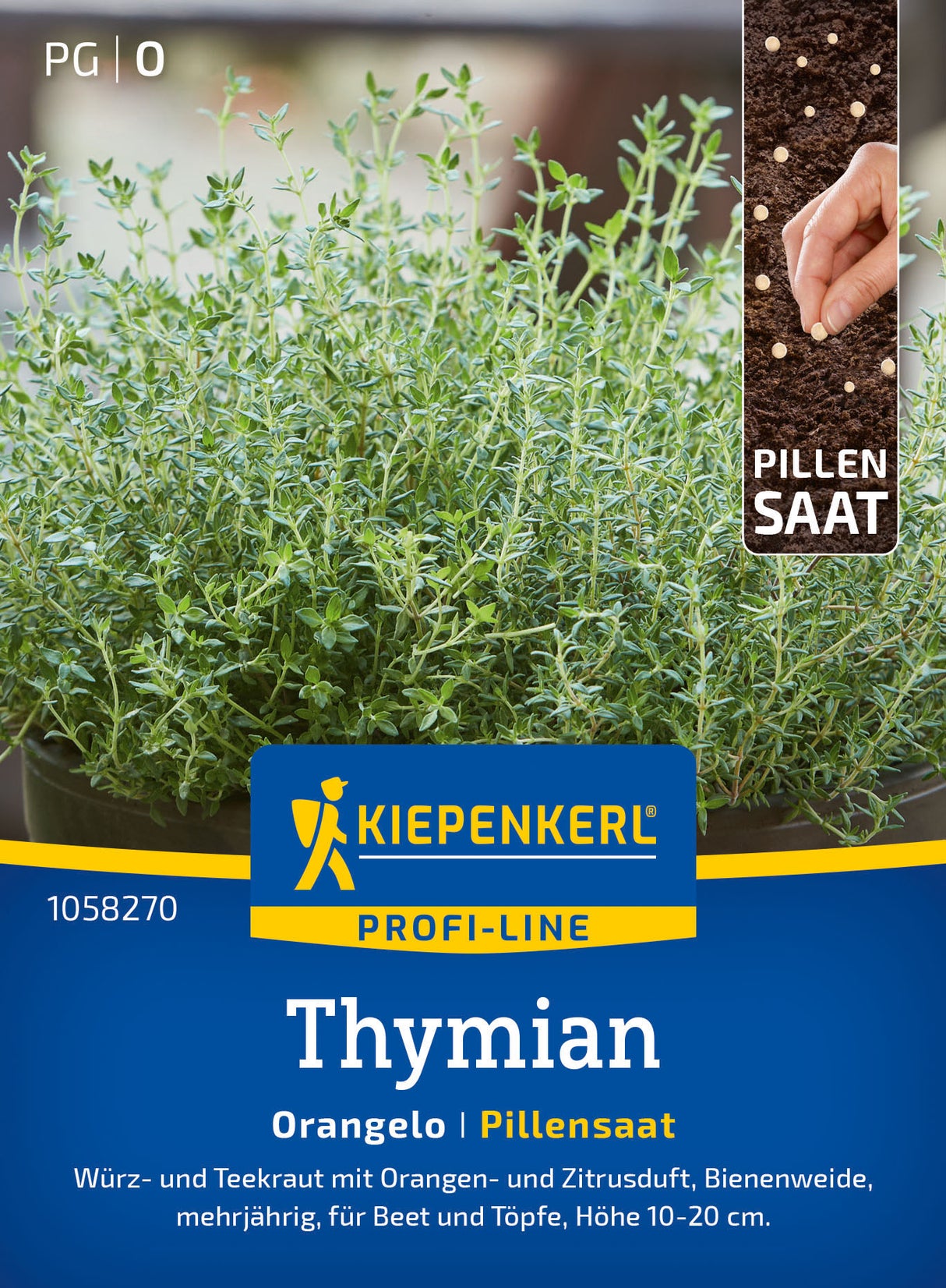 Kiepenkerl Thymian Orangelo Pillensaat