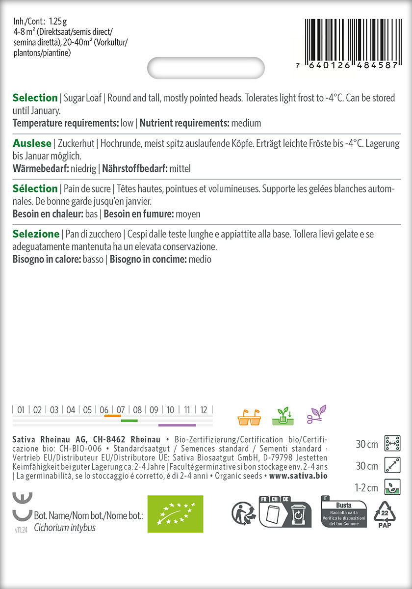 Sativa Zuckerhut Auslese