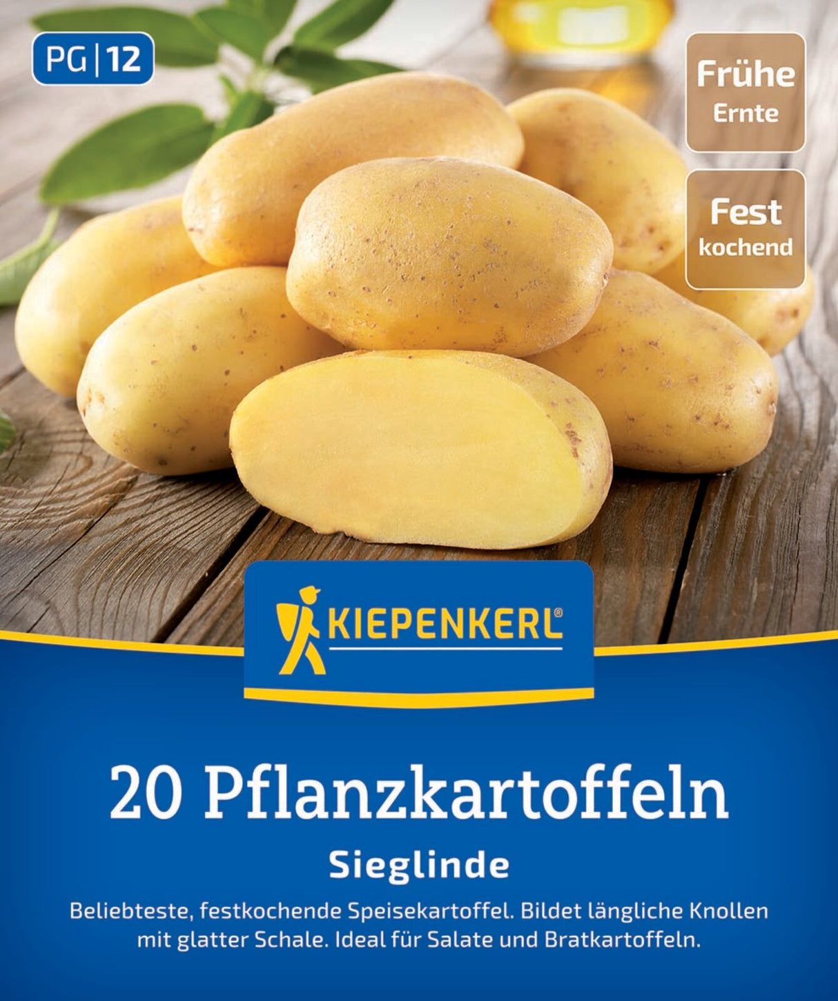 Kiepenkerl Pflanzkartoffel Sieglinde 20 Stück