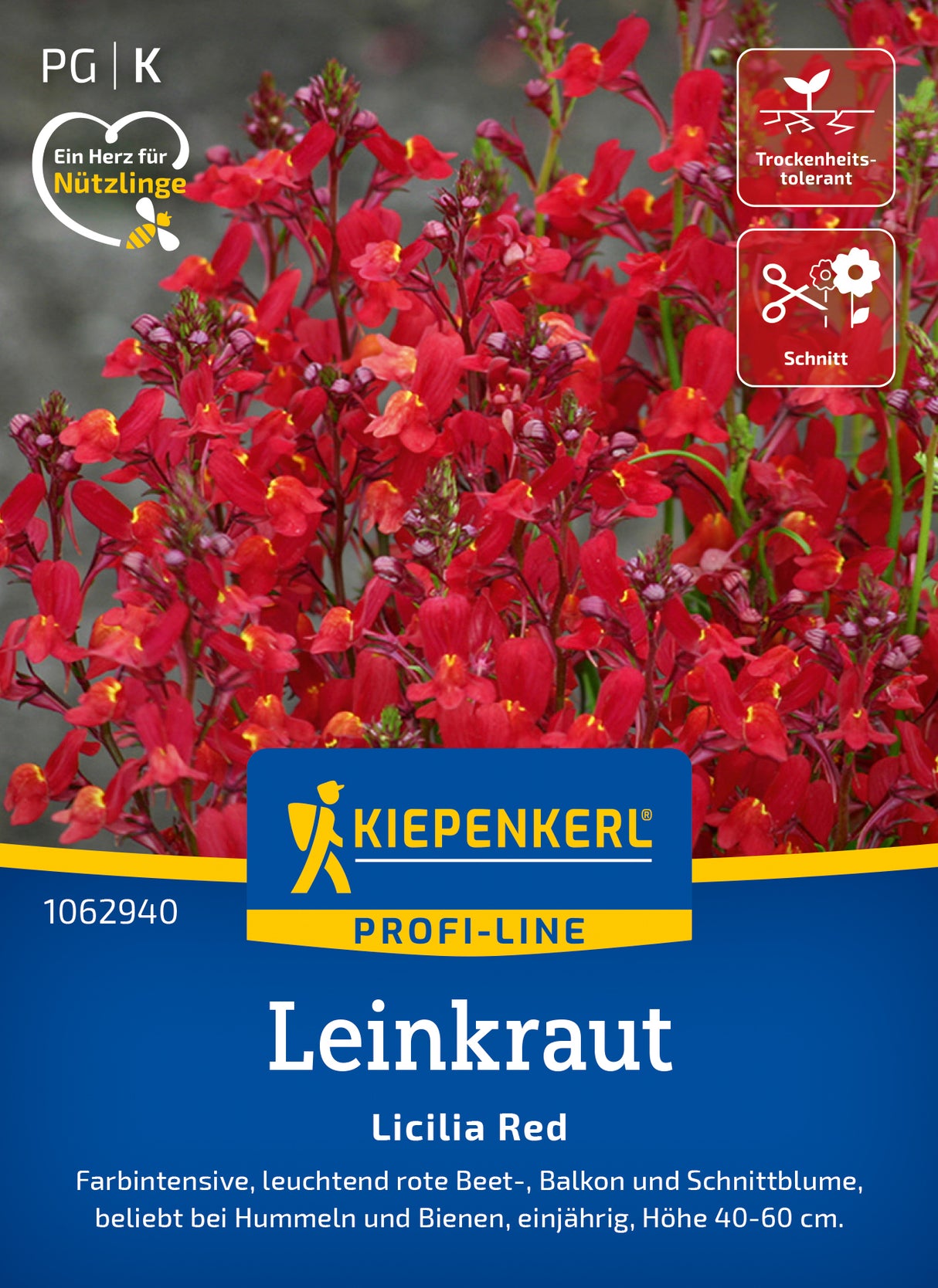Kiepenkerl Leinkraut Licilia Red