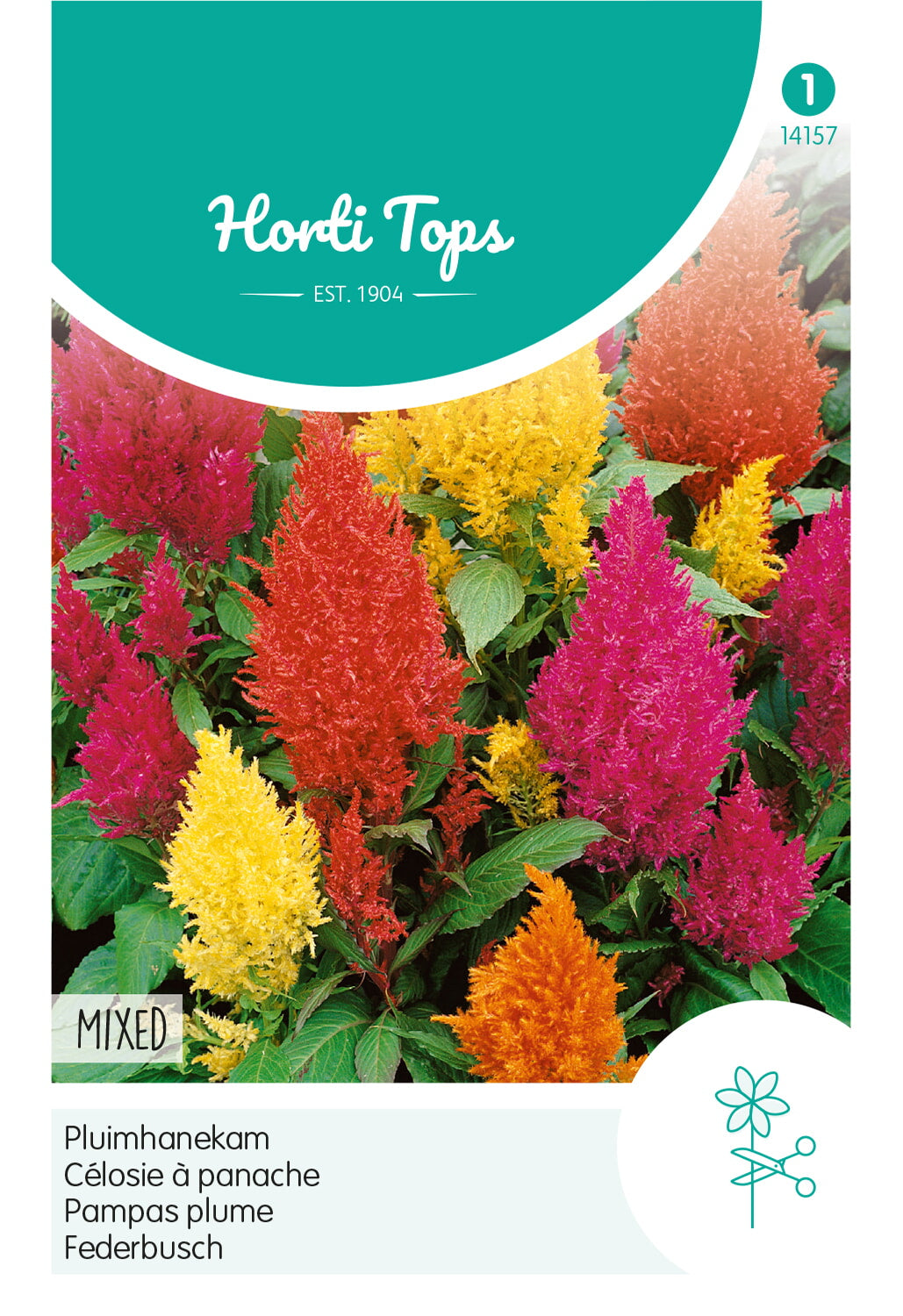 Horti Tops Hahnenkamm Argentea Plumosa Hohe Mischung