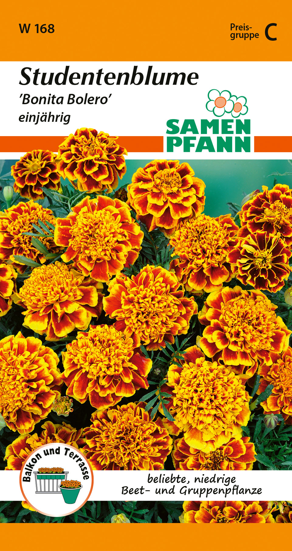 Samen Pfann Studentenblume Bonita Bolero einjährig