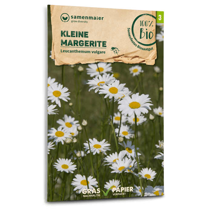 Samen Maier BIO Margeriten kleine Wildblume