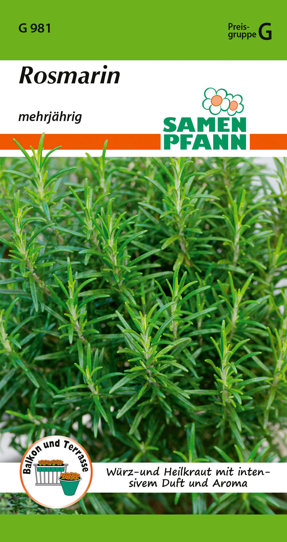 Samen Pfann Rosmarin Mehrjährig