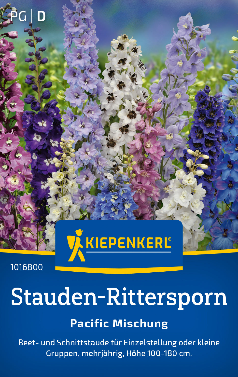Kiepenkerl Rittersporn Pacific Mischung