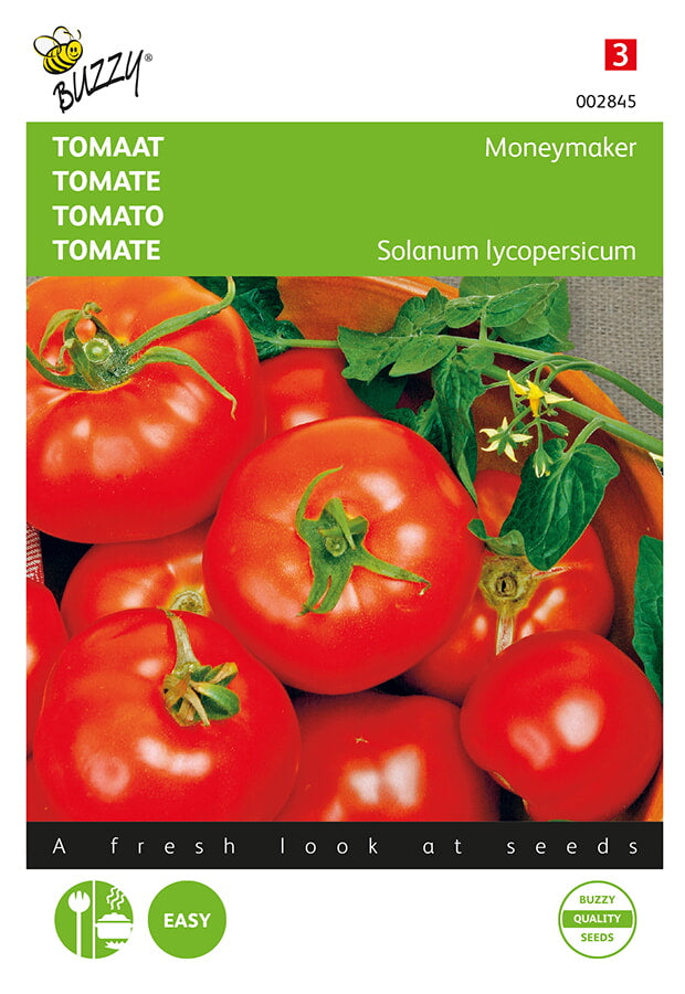 Buzzy Seeds Tomaten Moneymaker