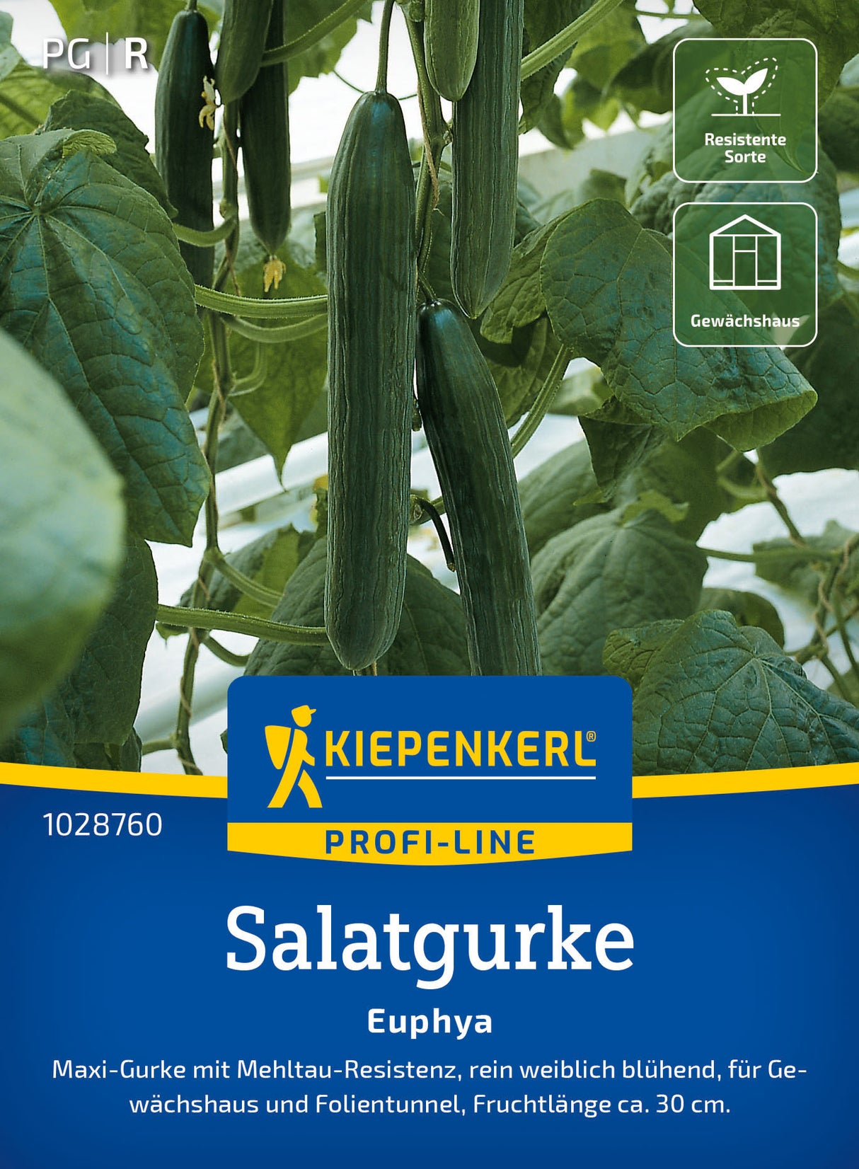 Kiepenkerl Salatgurken Euphya