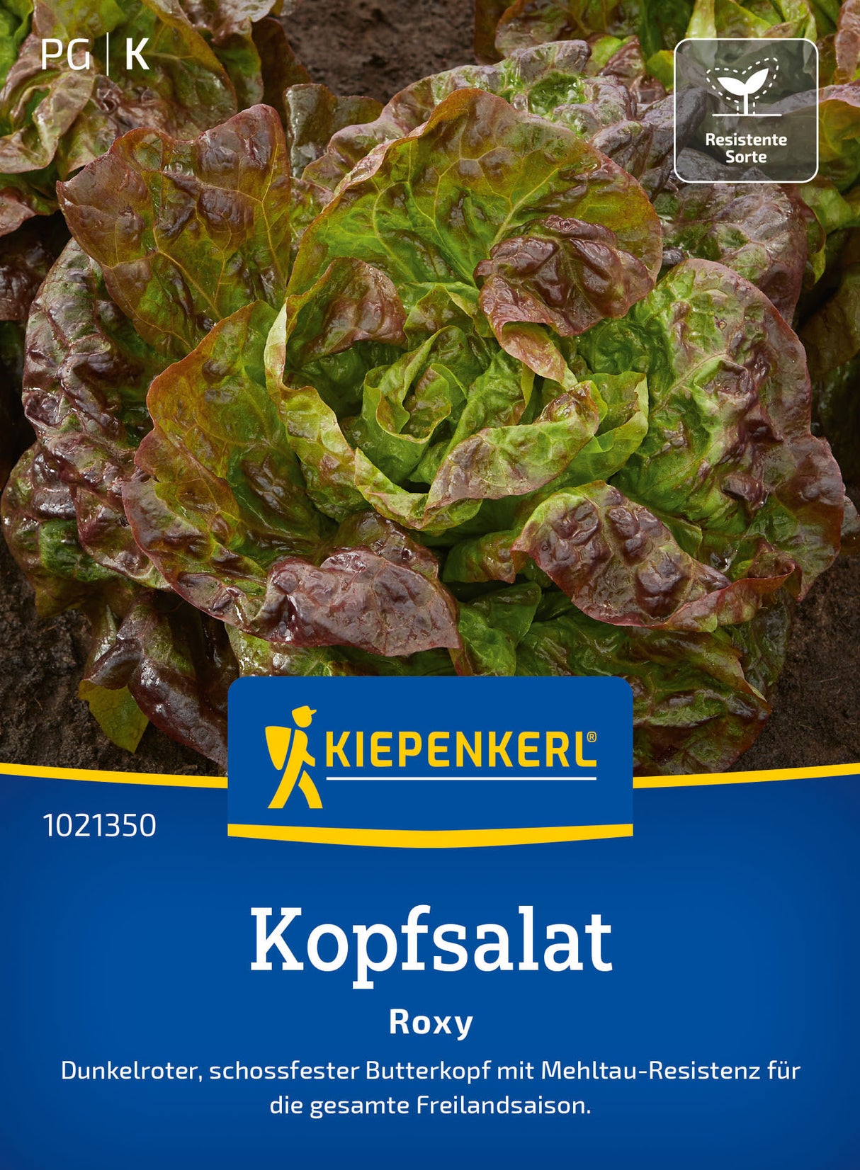 Kiepenkerl Kopfsalat Roxy