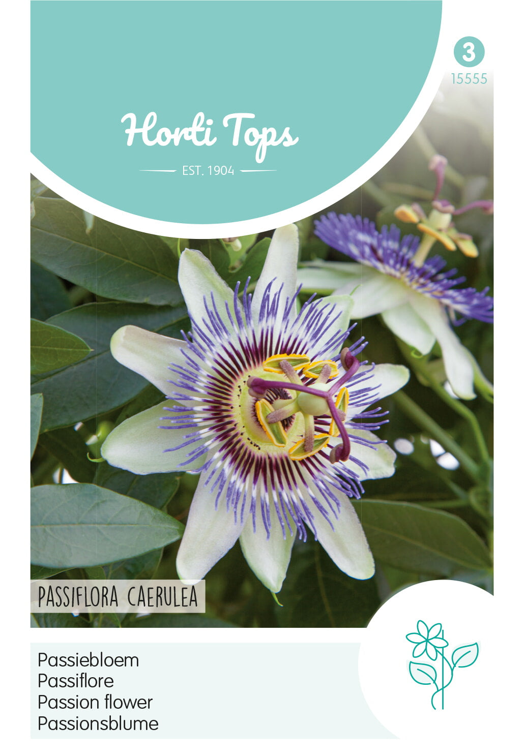 Horti Tops Passionsblume