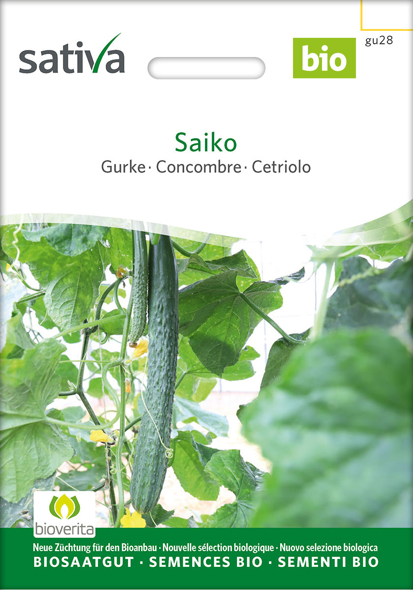 Sativa Gurke Saiko